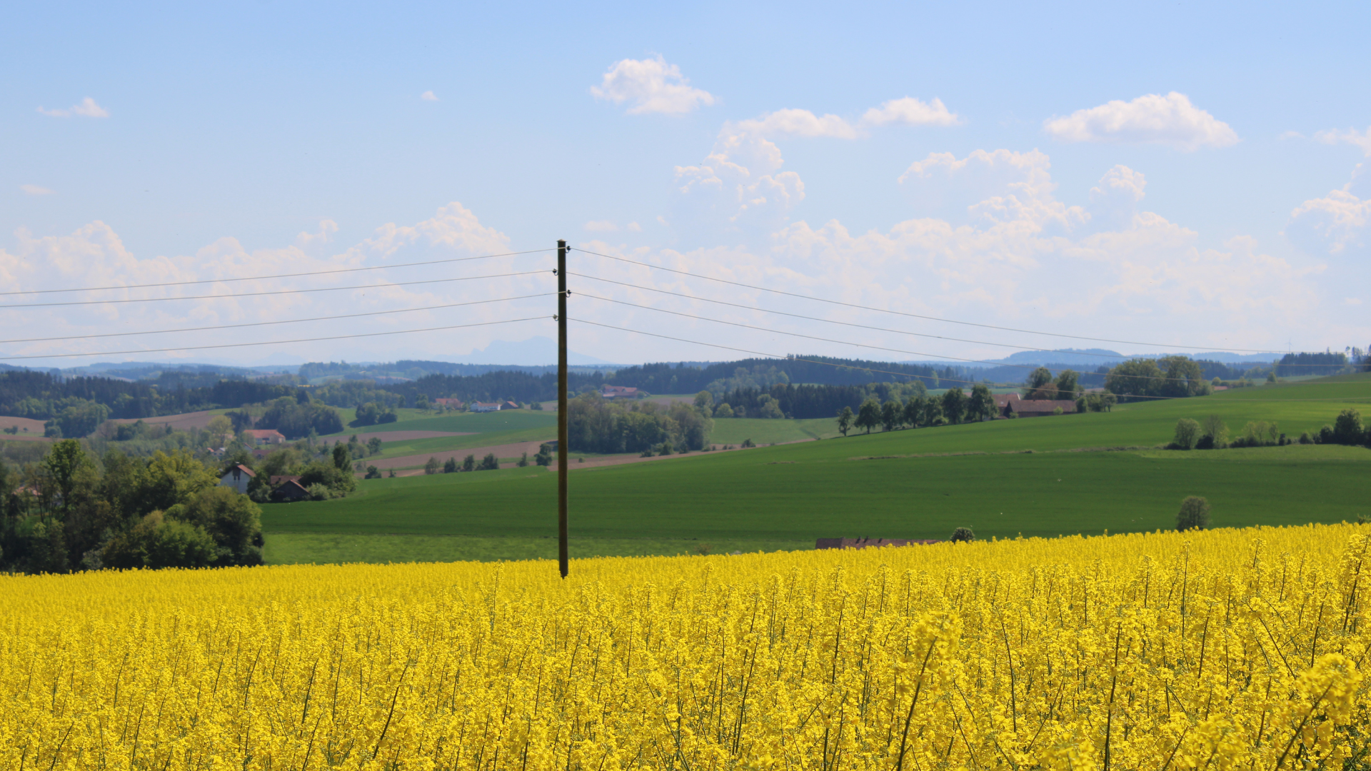 Mehr Klarheit. Mehr Stabilität. Neue Regeln. - Das neue ElWG