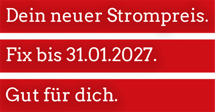 Nutzen Sie jetzt unser günstiges Stromangebot.